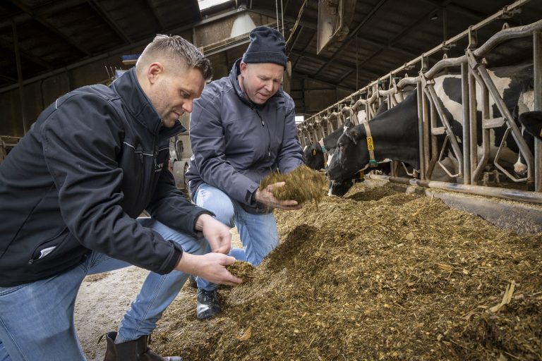Hoe citruspulp zichzelf terugverdient aan het voerhek